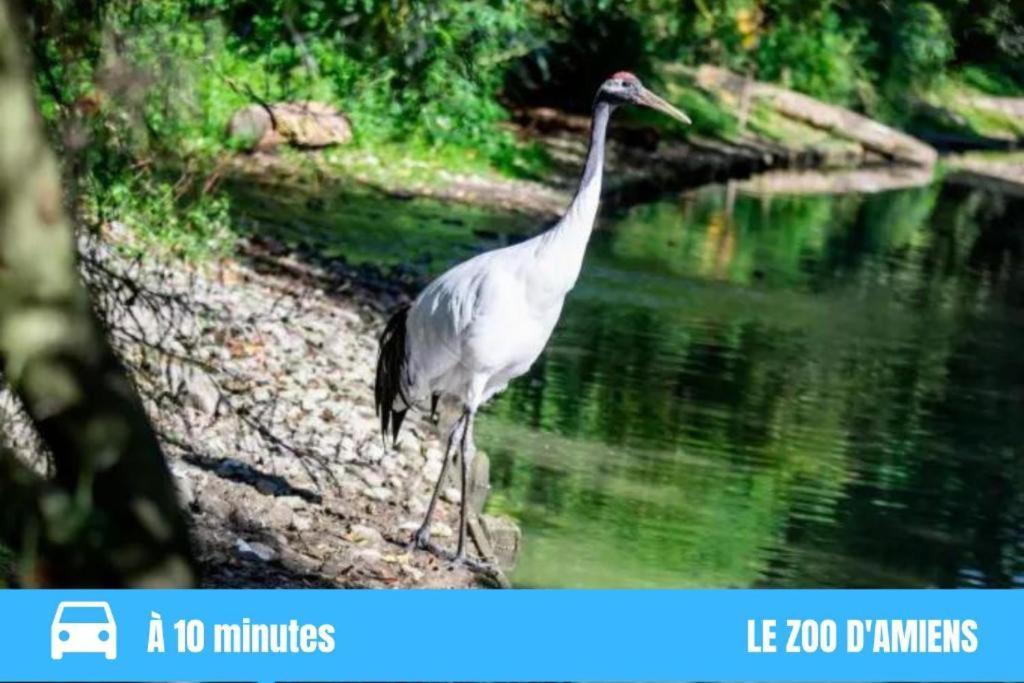 Grand T2 Gare Confort 2pers Wifi